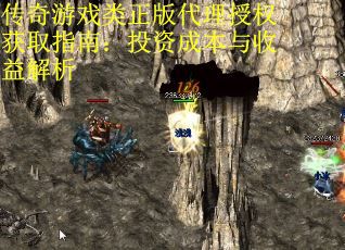 传奇游戏类正版代理授权获取指南：投资成本与收益解析