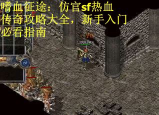 嗜血征途：仿官sf热血传奇攻略大全，新手入门必看指南
