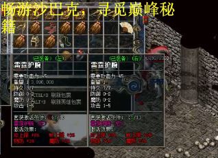 畅游沙巴克，寻觅巅峰秘籍