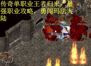 传奇单职业王者归来：最强职业攻略，勇闯玛法大陆