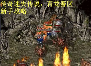 传奇迷失传说：青龙赛区新手攻略