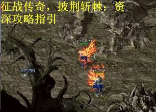 征战传奇，披荆斩棘：资深攻略指引