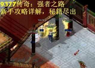 9377传奇：强者之路新手攻略详解，秘籍尽出