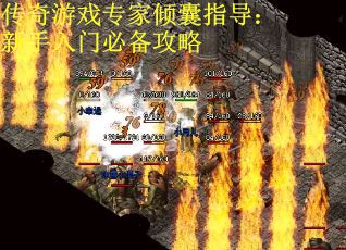 传奇游戏专家倾囊指导：新手入门必备攻略