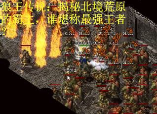 狼王传说：揭秘北境荒原的霸主，谁堪称最强王者？