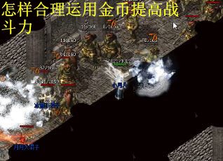 怎样合理运用金币提高战斗力