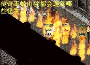 传奇毒蛇山谷都会遇到哪些怪物