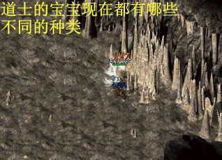 道士的宝宝现在都有哪些不同的种类