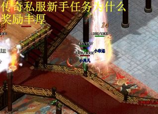 传奇私服新手任务为什么奖励丰厚