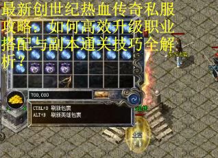 最新创世纪热血传奇私服攻略：如何高效升级职业搭配与副本通关技巧全解析？