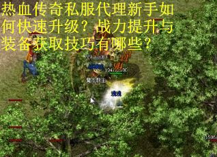 热血传奇私服代理新手如何快速升级？战力提升与装备获取技巧有哪些？