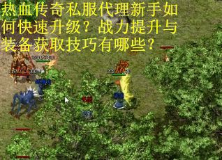 热血传奇私服代理新手如何快速升级？战力提升与装备获取技巧有哪些？