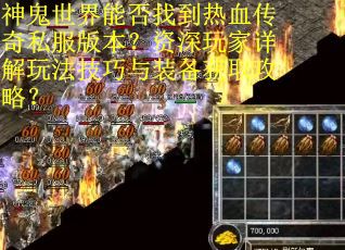 神鬼世界能否找到热血传奇私服版本？资深玩家详解玩法技巧与装备获取攻略？