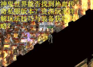 神鬼世界能否找到热血传奇私服版本？资深玩家详解玩法技巧与装备获取攻略？