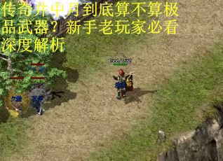 传奇井中月到底算不算极品武器？新手老玩家必看深度解析