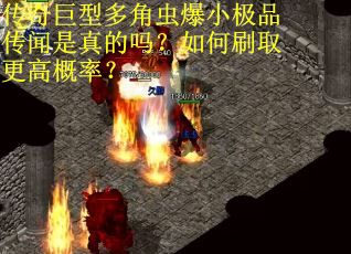 传奇巨型多角虫爆小极品传闻是真的吗？如何刷取更高概率？