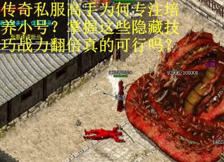 传奇私服高手为何专注培养小号？掌握这些隐藏技巧战力翻倍真的可行吗？