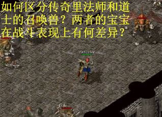 如何区分传奇里法师和道士的召唤兽？两者的宝宝在战斗表现上有何差异？