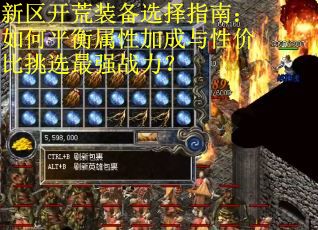 新区开荒装备选择指南：如何平衡属性加成与性价比挑选最强战力？
