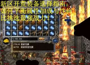 新区开荒装备选择指南：如何平衡属性加成与性价比挑选最强战力？