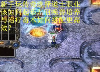 新手玩传奇选择道士职业该如何起步？召唤兽培养与治疗毒术如何搭配更高效？