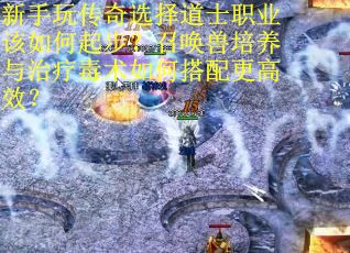 新手玩传奇选择道士职业该如何起步？召唤兽培养与治疗毒术如何搭配更高效？