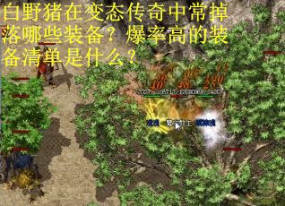 白野猪在变态传奇中常掉落哪些装备？爆率高的装备清单是什么？
