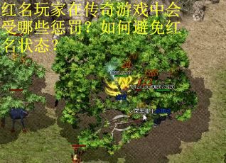 红名玩家在传奇游戏中会受哪些惩罚？如何避免红名状态？