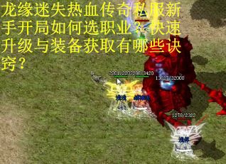 龙缘迷失热血传奇私服新手开局如何选职业？快速升级与装备获取有哪些诀窍？