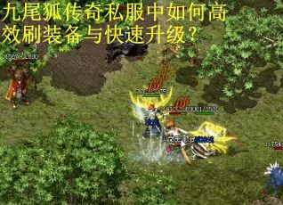 九尾狐传奇私服中如何高效刷装备与快速升级？