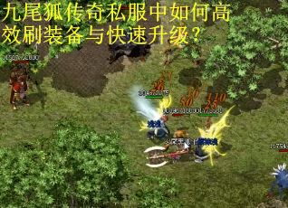 九尾狐传奇私服中如何高效刷装备与快速升级？