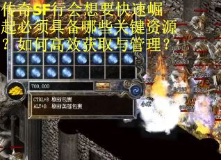 传奇SF行会想要快速崛起必须具备哪些关键资源？如何高效获取与管理？