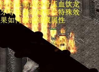 传奇法师武器骨玉血饮龙牙等装备暗藏哪些特殊效果如何激活隐藏属性