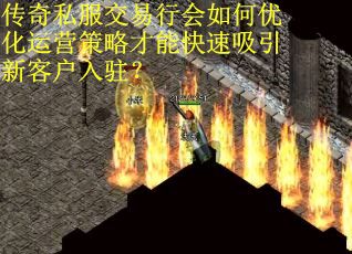传奇私服交易行会如何优化运营策略才能快速吸引新客户入驻？