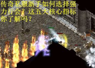 传奇私服新手如何选择强力行会？这五大核心指标你了解吗？
