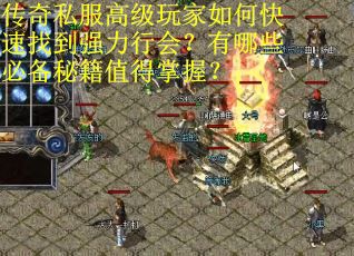 传奇私服高级玩家如何快速找到强力行会？有哪些必备秘籍值得掌握？