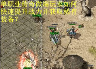 单职业传奇微端玩家如何快速提升战力并获取稀有装备？