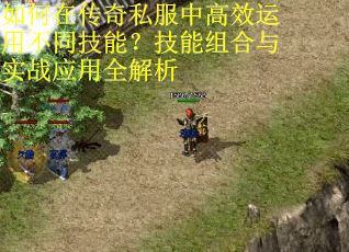 如何在传奇私服中高效运用不同技能？技能组合与实战应用全解析