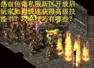 热血传奇私服新区开放后玩家如何快速获得高级技能书？攻略技巧有哪些？