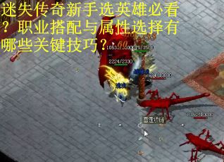 迷失传奇新手选英雄必看？职业搭配与属性选择有哪些关键技巧？