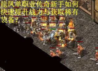 龍凤单职业传奇新手如何快速提升战力与获取稀有装备？