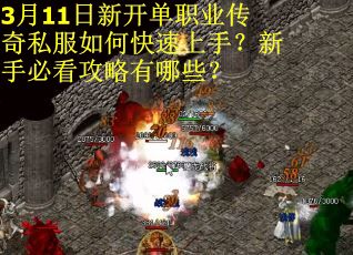 3月11日新开单职业传奇私服如何快速上手？新手必看攻略有哪些？